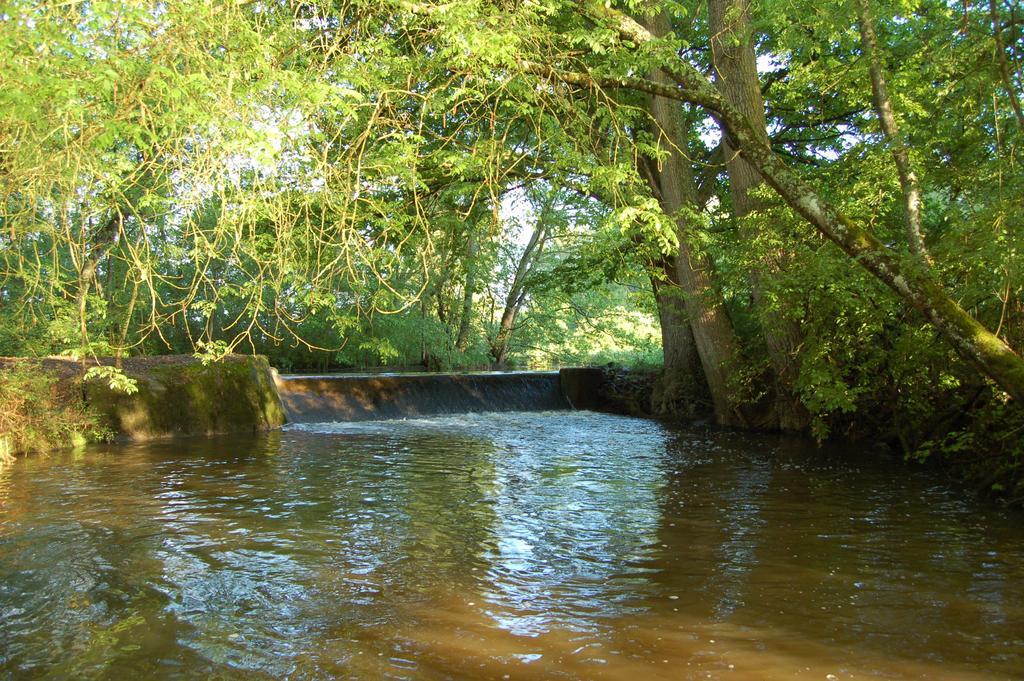 Le Moulin Neuf Bed & Breakfast Vignoux-sur-Barangeon Eksteriør bilde